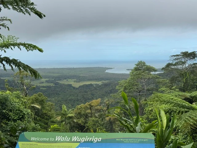 Daintree rainforest and coastline viewed from Walu Wugirriga lookout