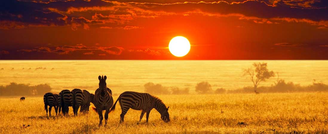 Africa